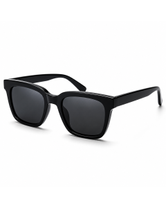 Seel Demo Sunglasses